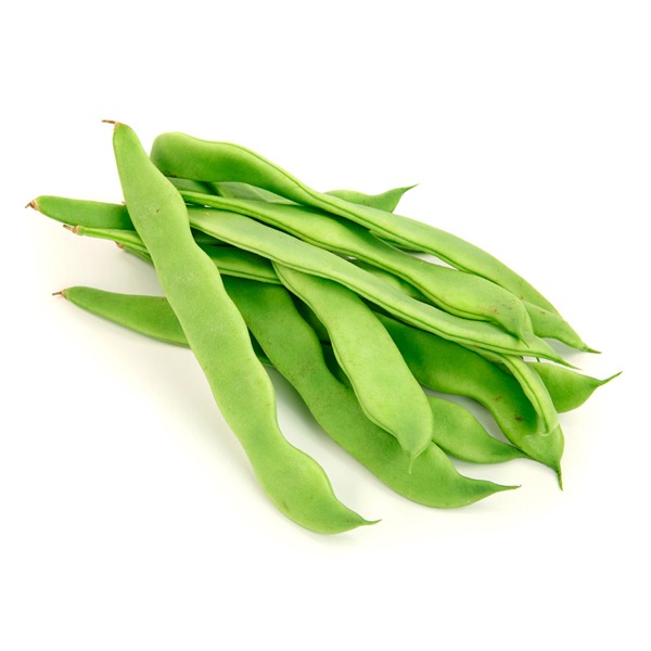 Fasulye
