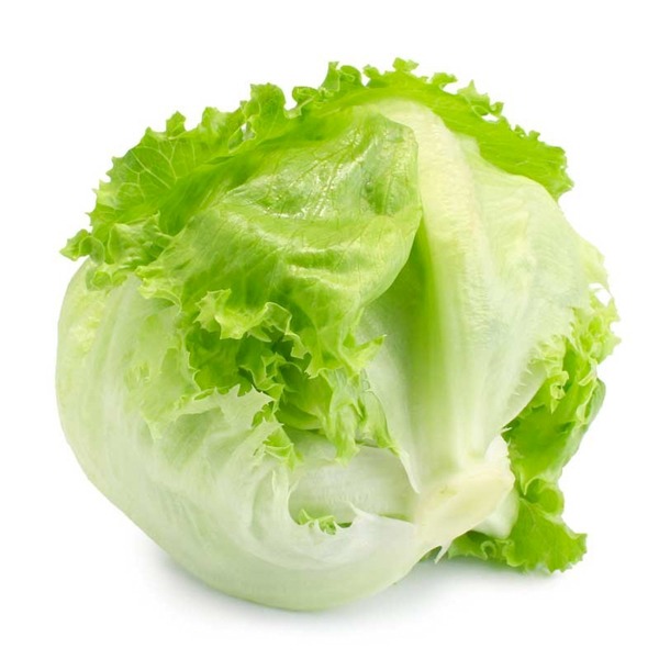 Iceberg (Göbek Marul)